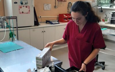 Donación de material a GREFA