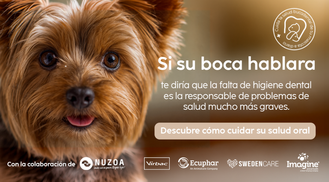 «Si su boca hablara», la campaña que pone la salud bucodental de perros y gatos en primer plano, sigue en pleno rendimiento