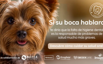 «Si su boca hablara», la campaña que pone la salud bucodental de perros y gatos en primer plano, sigue en pleno rendimiento